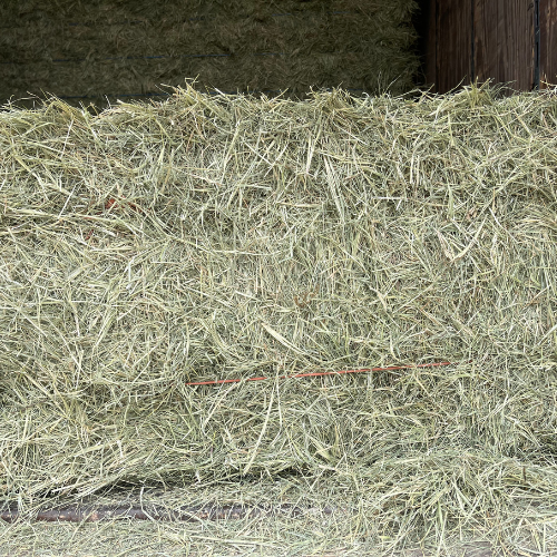 Coastal hay