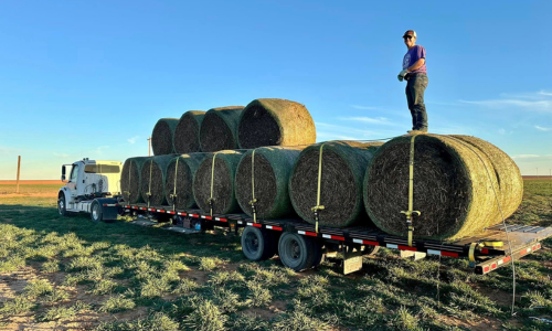 Hay truck