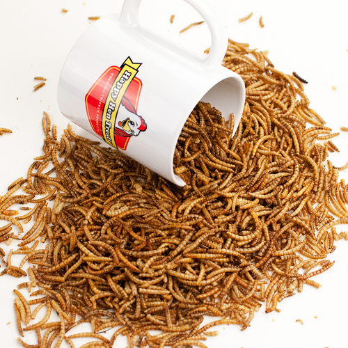 Happy Hen Treats Mealworm Frenzy (5-lb)