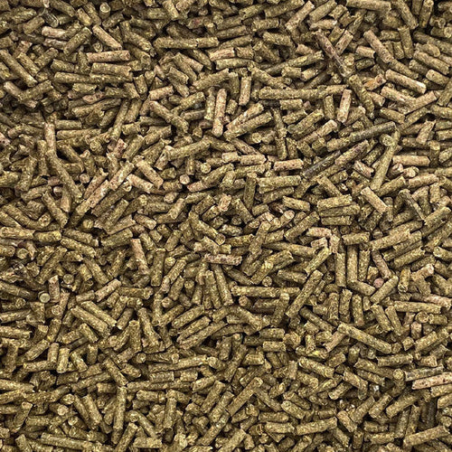 Palmer Feed Show Rabbit 5/32